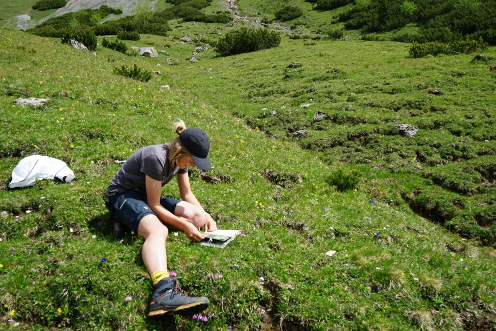 Person liest Buch auf Wiese